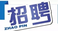 岱岳區(qū)政務(wù)服務(wù)中心招人啦！大專以上學(xué)歷，即日起報(bào)名